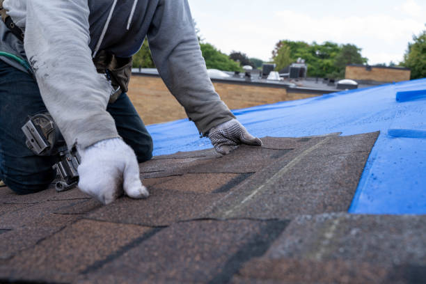 Best Roof Leak Repair  in Candler Mcafee, GA